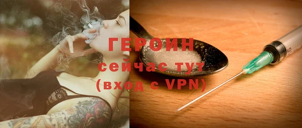 индика Протвино